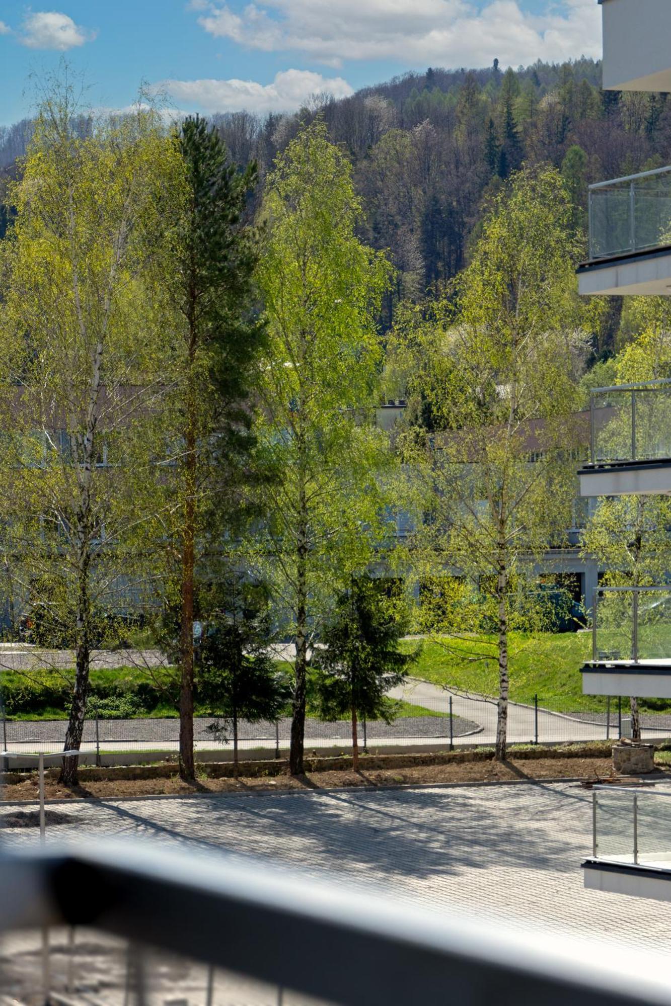 Szyndzielnia Hill Apartament # Nestapartamenty Bielsko-Biała Exterior foto